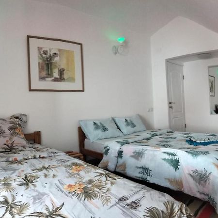 Ferienwohnung Doi Iepuri Azuga Exterior foto