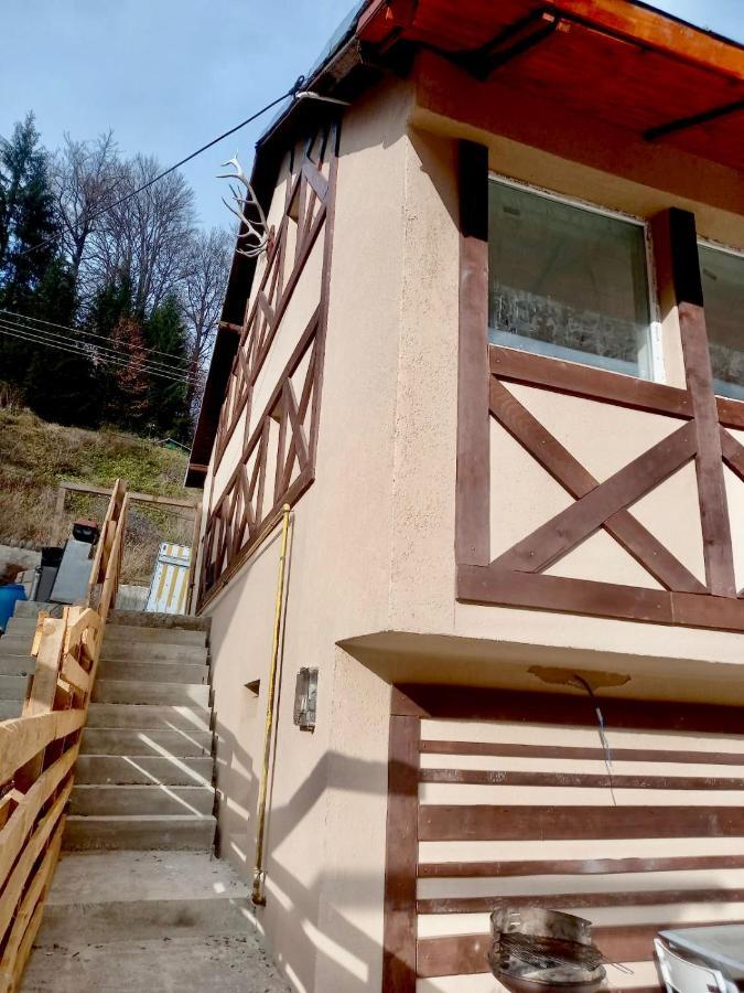 Ferienwohnung Doi Iepuri Azuga Exterior foto