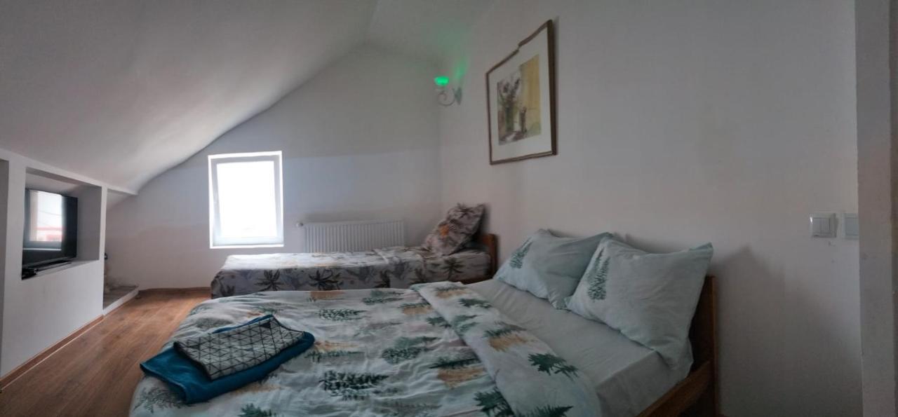 Ferienwohnung Doi Iepuri Azuga Exterior foto