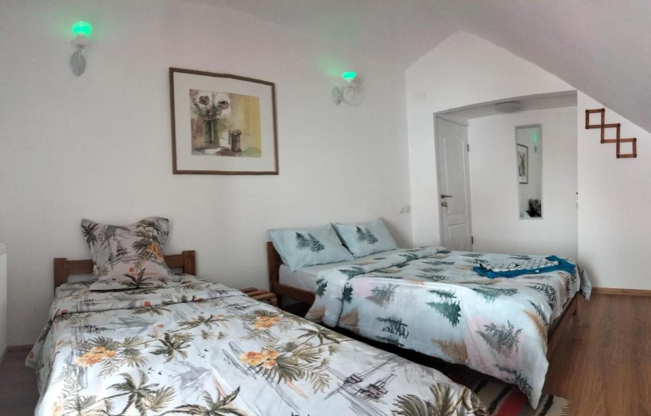 Ferienwohnung Doi Iepuri Azuga Exterior foto